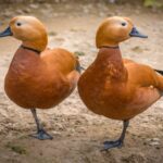 amir-abbas-abdolali-_Tm4622z4Dg-unsplash